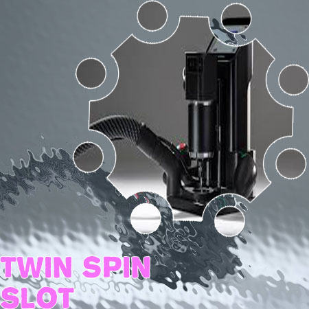 Twin spin slot online